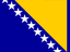Bosnia and Herzegovina flag