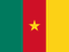 Cameroon flag