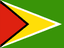 Guyana flag